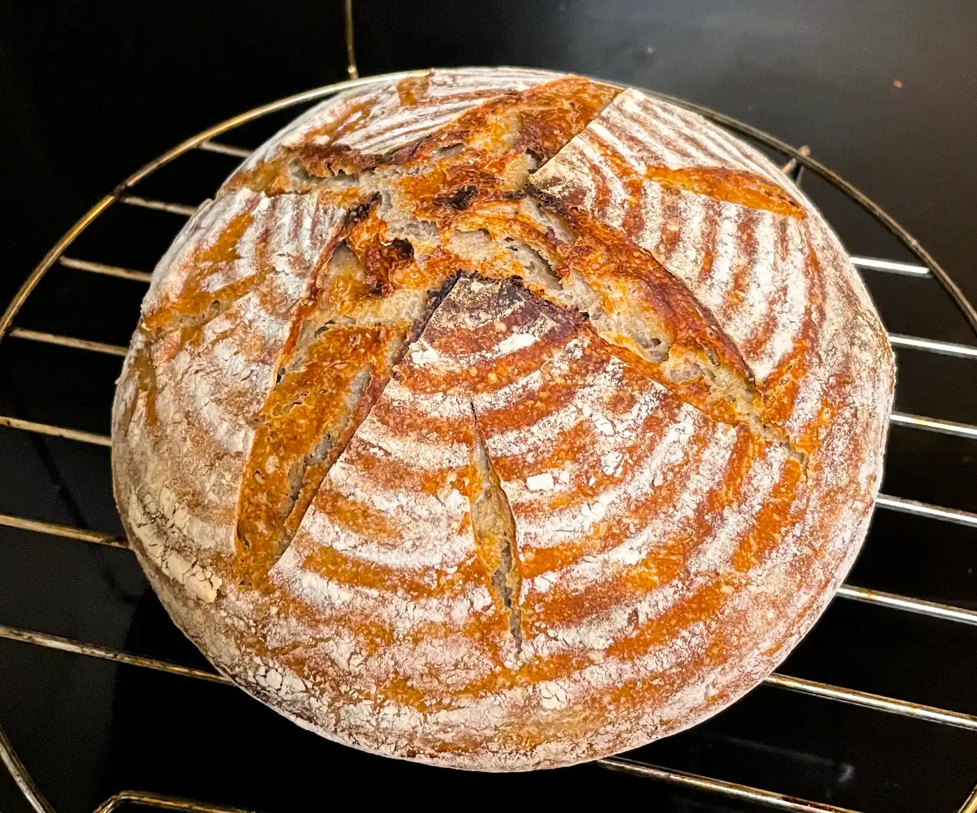 Fresh out of the oven
